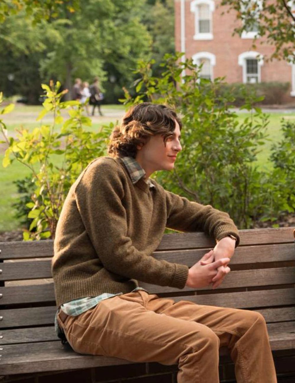 A Rainy Day In New York Timothee Chalamet Sweater