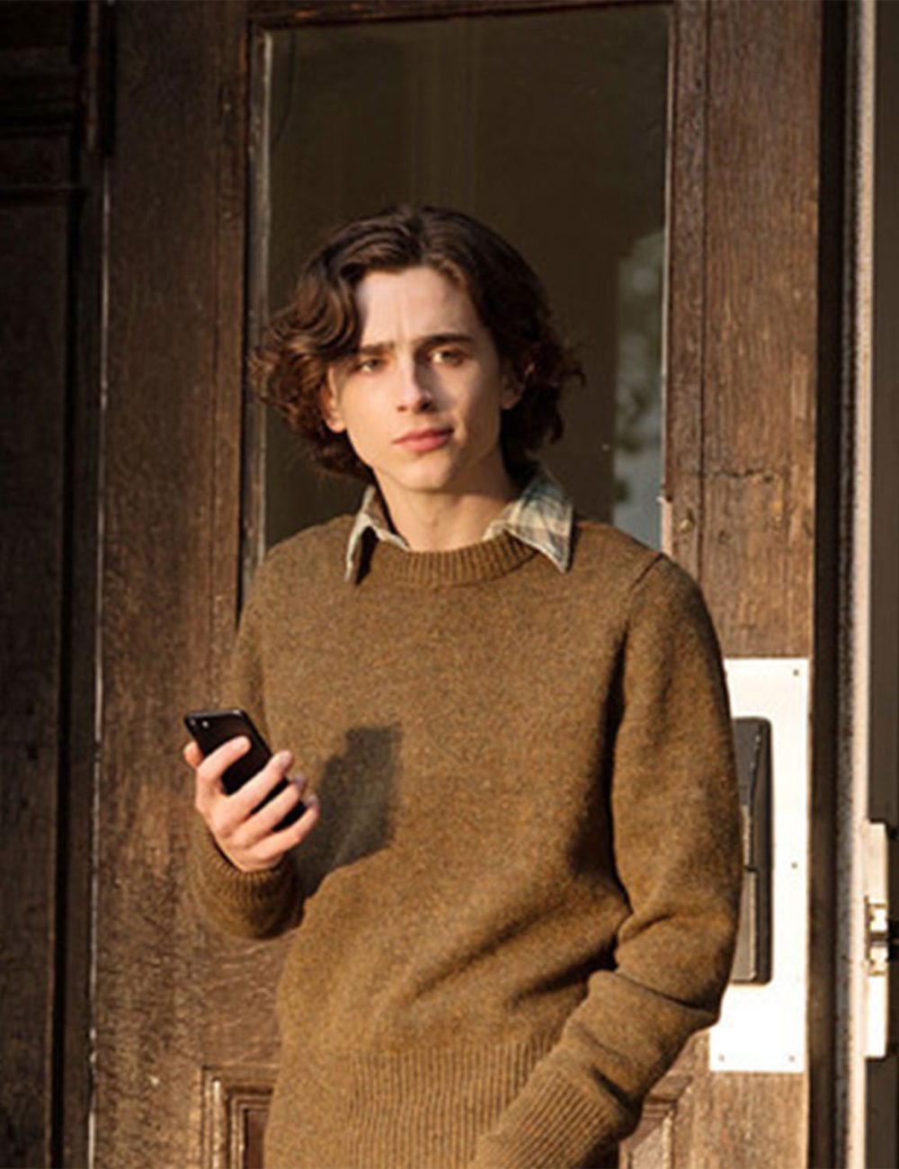 Timothee Chalamet Sweater